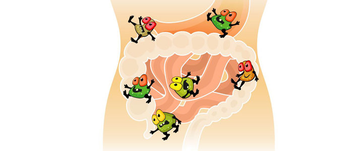 Mechanisms Linking Microbiota Rejuvenation to Systemic Resilience